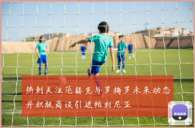 热刺关注范赫克与罗梅罗未来动态并积极商谈引进帕利尼亚